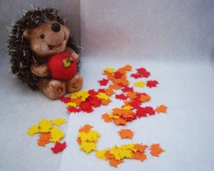 Mein Igel im Herbstlaub! 