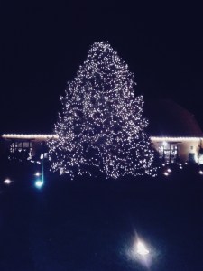Weihnachtsbaum des Gut Boeckel