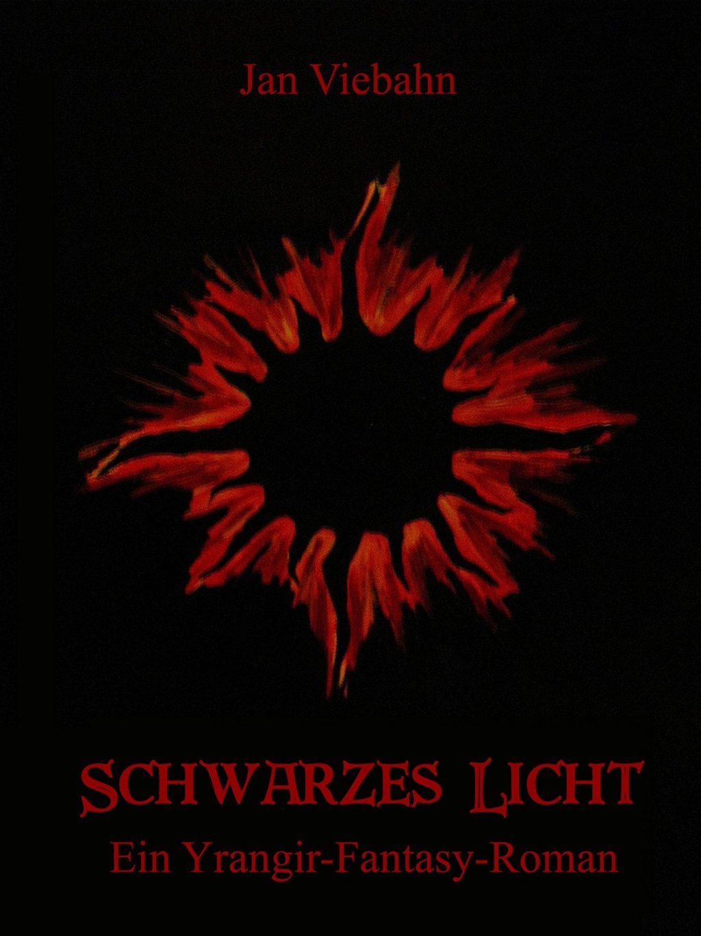 Meine Buchvorstellung: Jan Viebahn – Schwarzes Licht