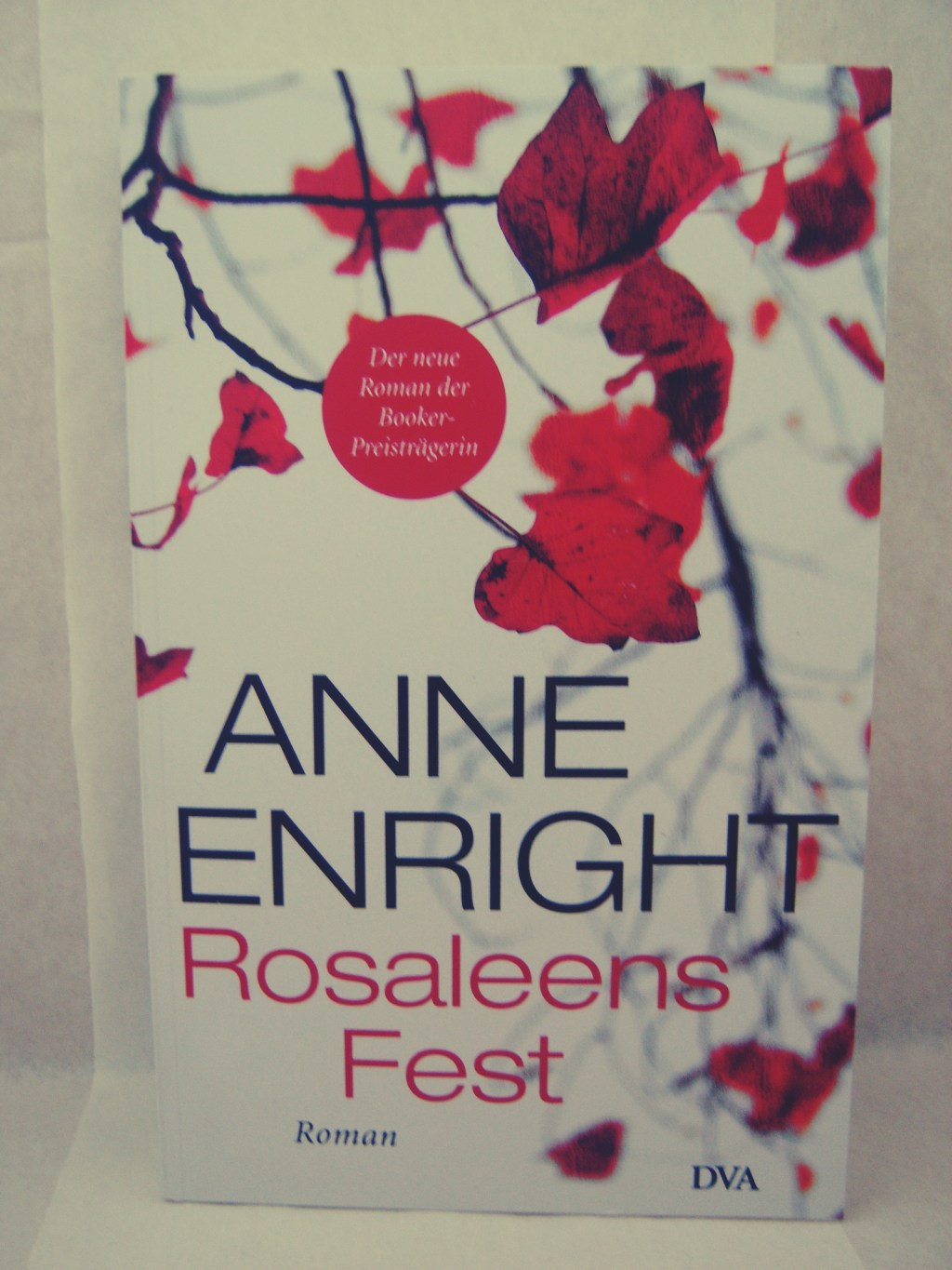 Abgebrochen: Rosaleens Fest von Anne&nbsp;Enright