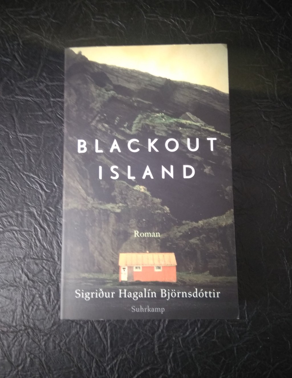 Gelesen: Blackout Island – Sigurdin Hagalin&nbsp;Björnsdottir