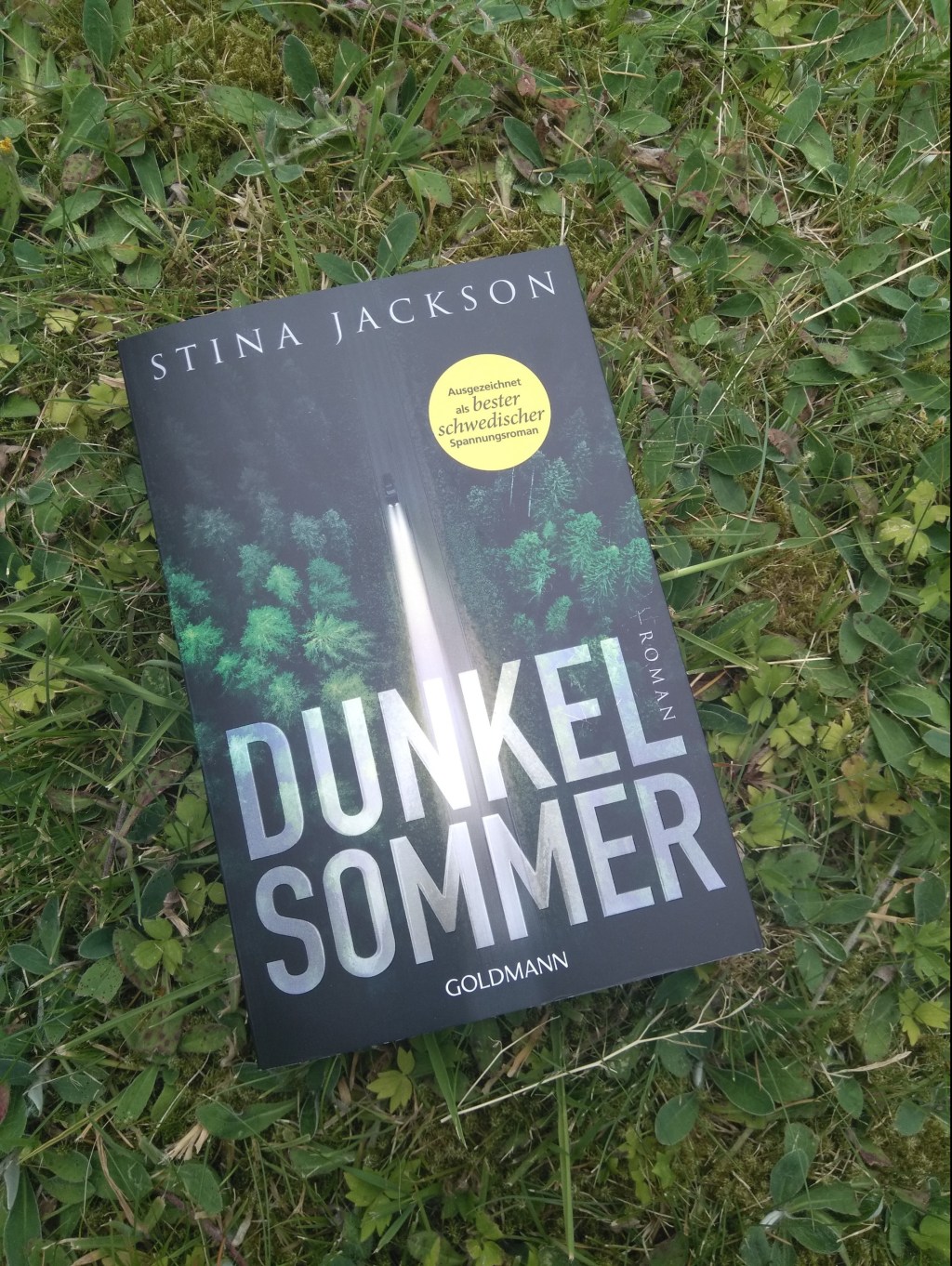 Gelesen: Dunkelsommer von Stina&nbsp;Jackson