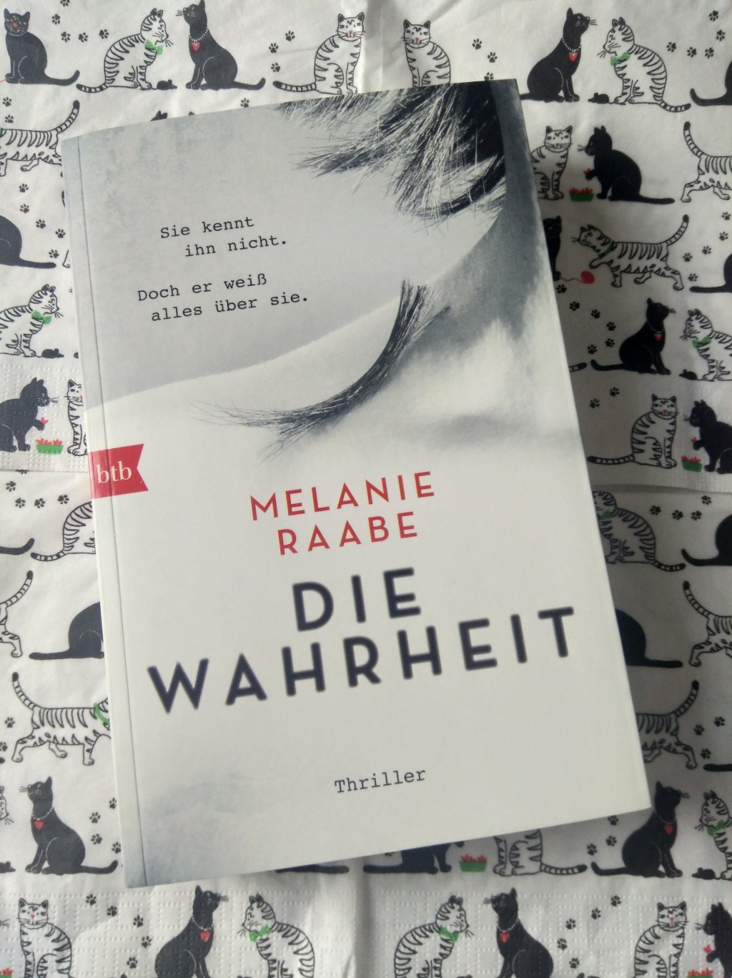 Gelesen: Die Wahrheit von Melanie&nbsp;Raabe