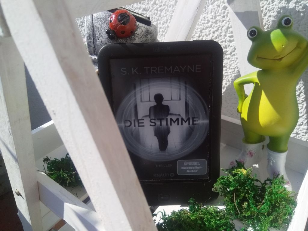 Gelesen: S.K. Tremayne – Die&nbsp;Stimme
